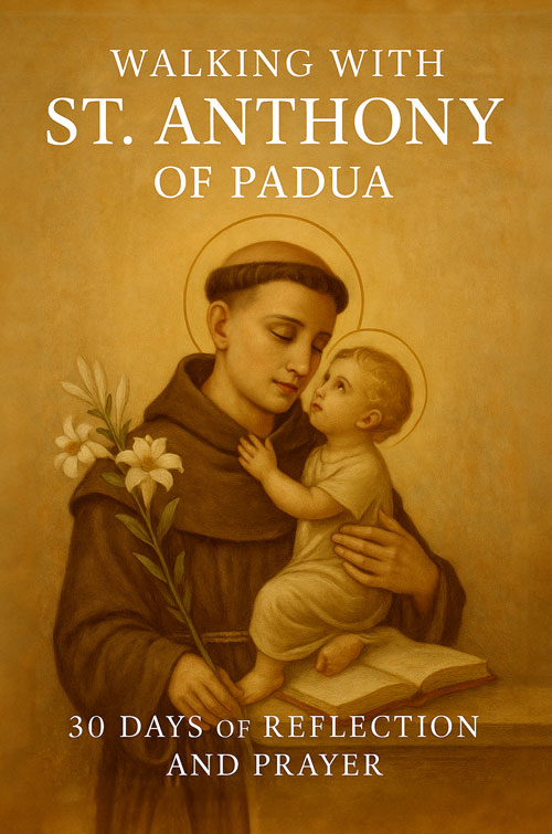 St. Anthony of Padua Book Cover