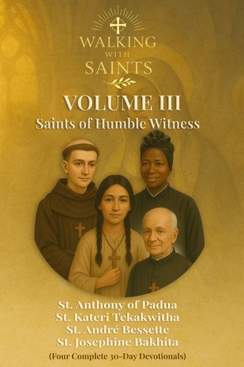Volume 3 Book Cover