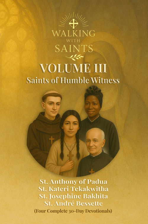 Volume 3 Book Cover