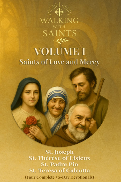 Walking With Saints Volume 1