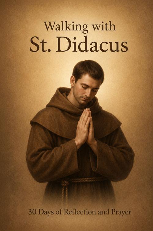St. Didacus Book Cover