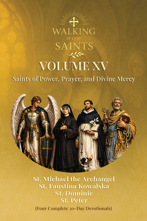 Walking With Saints Volume 15 Book Cover