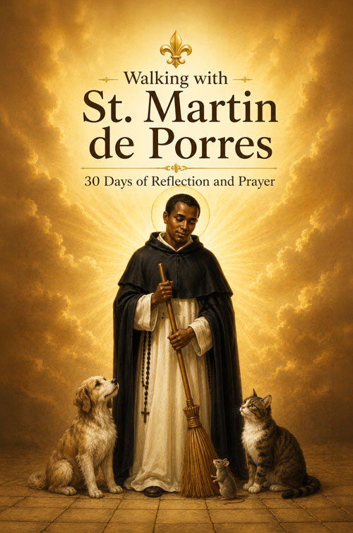 St. Martin de Porres Book Cover