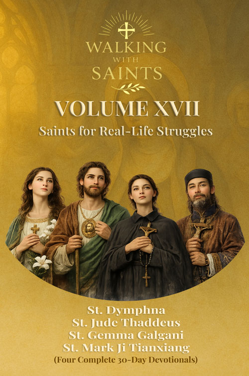 Walking With Saints Volume 17 Book Cover