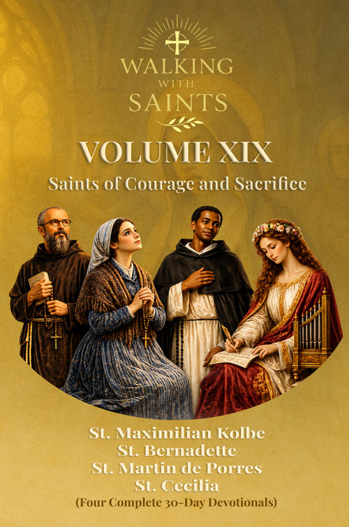 Walking With Saints Volume 19 Book Cover