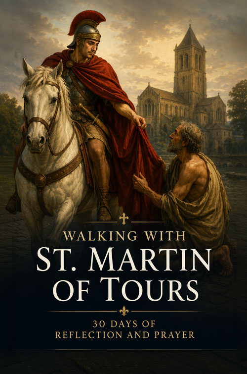 St. Martin of Tours Book Cover