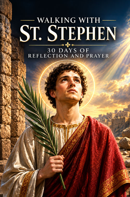 St. Stephen Book Cover