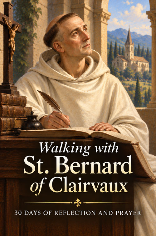St. Bernard Book Cover